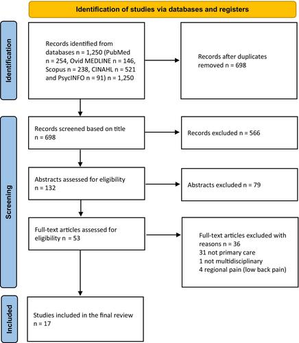 Multidisciplinary management of persistent pain in primary care—A systematic review