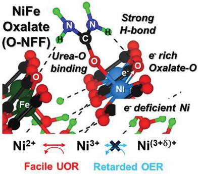 Accessible Ni-Fe-Oxalate Framework for Electrochemical Urea Oxidation with Radically Enhanced Kinetics