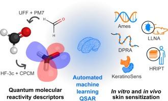 Low-cost quantum mechanical descriptors for data efficient skin sensitization QSAR models