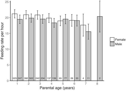 Parental provisioning is weakly age-dependent and heritable in a small passerine