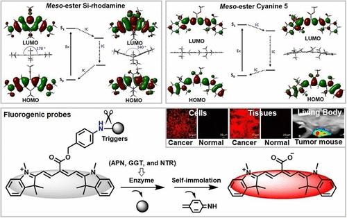 Excited-State Conjugation/De-Conjugation Driven Nonradiative Thermal Deactivation for Developing Fluorogenic Probes to Diagnose Cancers