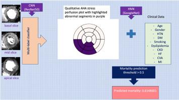 Qualitative stress perfusion American Heart Association plot and outcome prediction using artificial intelligence