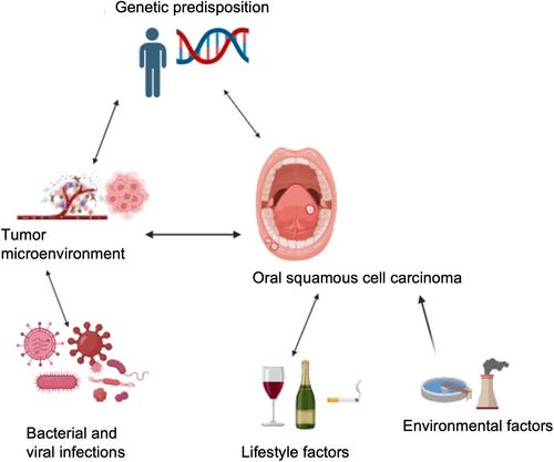 Matrix-based molecular mechanisms, targeting and diagnostics in oral squamous cell carcinoma