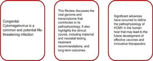 Human cytomegalovirus and neonatal infection