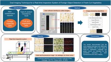 Dual imaging technique for a real-time inspection system of foreign object detection in fresh-cut vegetables