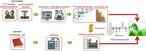 Potential of pine forest in controlling soil erosion in Himalayan region - Investigation using fallout radionuclide (137Cs) measurements