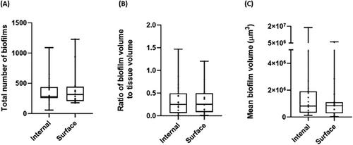 Multimodal optical mesoscopy reveals the quantity and spatial distribution of Gram-positive biofilms in ex vivo tonsils