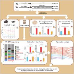 Konjac supplementation can alleviate obesity induced by high-fat diet in mice by modulating gut microbiota and its metabolites