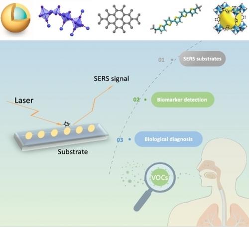 SERS Materials with Small-Molecule Sensitivity for Biological Diagnosis