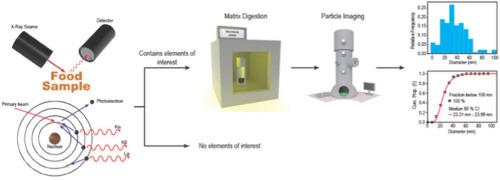 Correct labelling? A full analytical pathway for silica and titania particles in food products