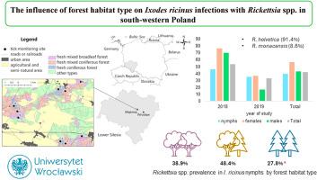 The influence of forest habitat type on Ixodes ricinus infections with Rickettsia spp. in south-western Poland