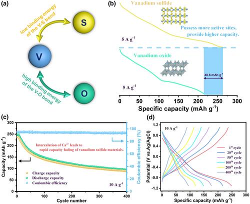 Mo Doping and Electrochemical Activation Co-Induced Vanadium Composite as High-Rate and Long-Life Anode for Ca-Ion Batteries