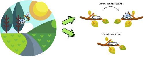 Cognitive abilities related to foraging behavior in Vespula vulgaris (Hymenoptera: Vespidae)