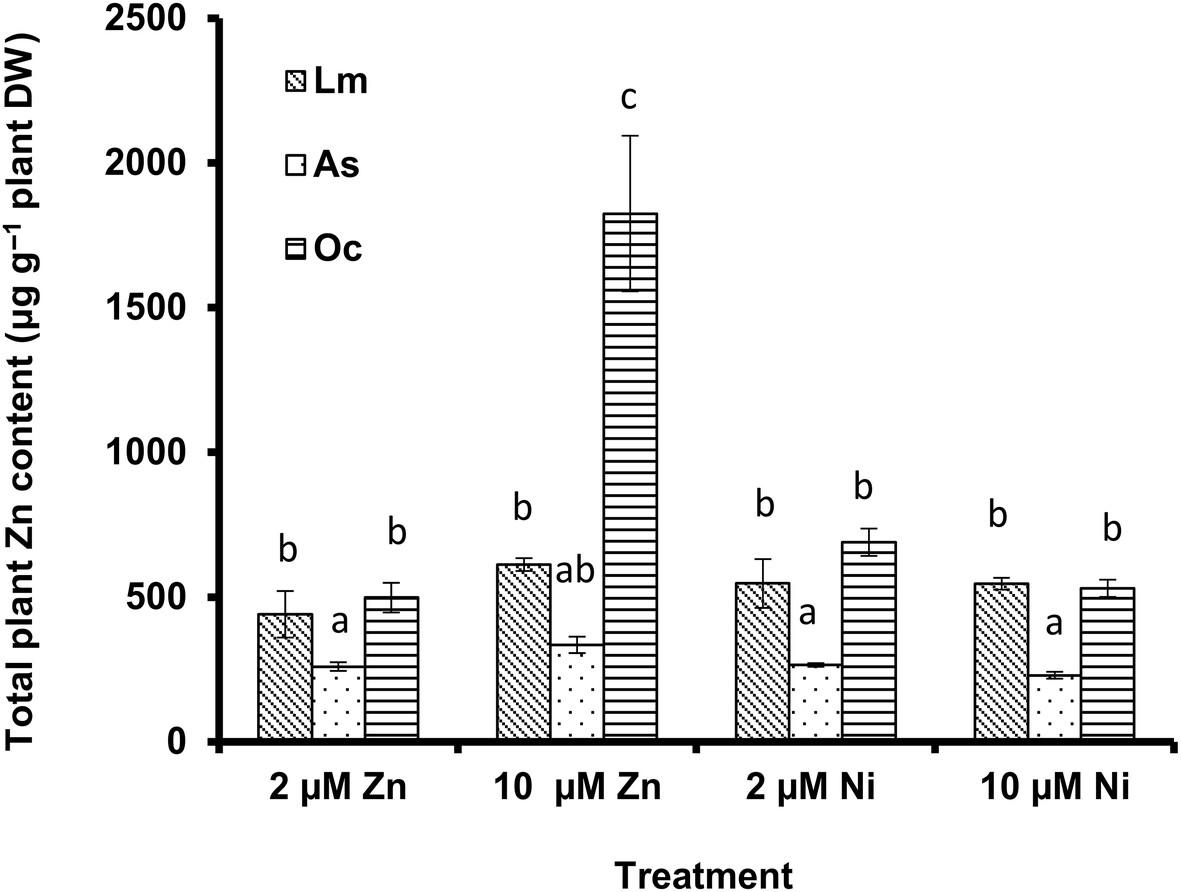 A comparison of nickel and zinc uptake and translocation in three species of Brassicaceae: The Ni hyperaccumulator Odontarrhena corsica and two non-hyperaccumulators, Aurinia saxatilis and Lobularia maritima