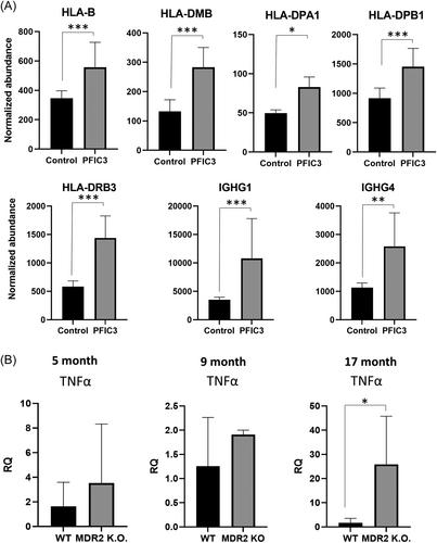 Molecular basis of progressive familial intrahepatic cholestasis 3. A proteomics study