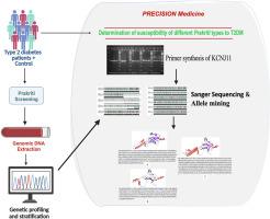 Molecular study of the KCNJ11 gene and its correlation with Prakriti to preventing and managing type 2 diabetes