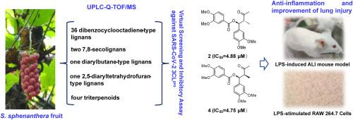 Natural 7,8-secolignans from Schisandra sphenanthera fruit potently inhibit SARS-CoV-2 3CLpro and inflammation