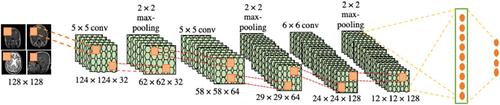 A deep learning fusion model for accurate classification of brain tumours in Magnetic Resonance images