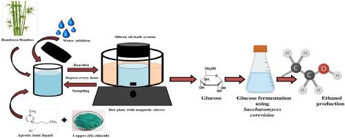 A novel experimental approach for the catalytic conversion of lignocellulosic Bambusa bambos to bioethanol