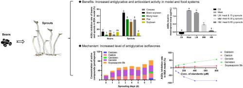 Sprouting facilitates the antiglycative effect of black soybean (Glycine max (L.) Merr.) by promoting the accumulation of isoflavones