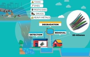 Two-dimensional MXenes for toxin management: Advanced electrocatalytic detection, degradation, and adsorption dynamics