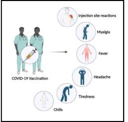 Short-term Side Effects Raises Following Covid-19 Vaccination Among Healthcare Workers