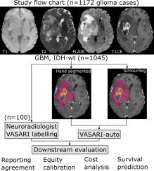 VASARI-auto: Equitable, efficient, and economical featurisation of glioma MRI