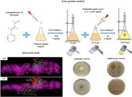 Chitosan dual gel-like functionalized with flavonoid extract and cinnamaldehyde oil using dual cross-linking agents: Characterization, antioxidant, and antimicrobial effects