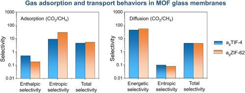 Gas transport mechanisms through MOF glass membranes