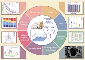 Influence of electrohydrodynamics on the drying characteristics, microstructure and volatile composition of apricot abalone mushroom (Pleurotus eryngii)