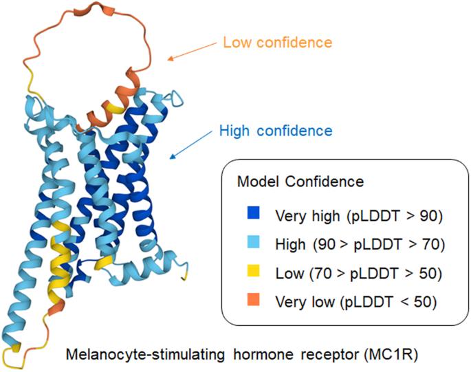 Prediction of protein structure and AI