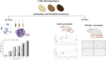 Influence of coffee roasting degree on antioxidant and metabolic parameters: Comprehensive in vitro and in vivo analysis