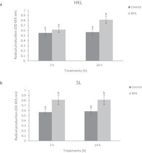 Bisphenol A Induces Reactive Oxygen Species Production and Apoptosis-Related Gene Expression in Pacific Red Snapper Lutjanus peru Leukocytes