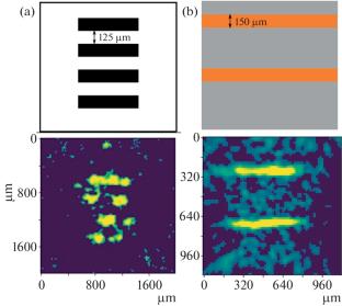 Ghost Imaging in a Fiber-Optic Endoscope Based on Light Scattering