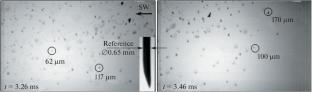 Computational–Experimental Study of the Liquid Drop Fragmentation Caused by an Air Shock Wave