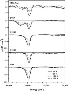 Spectroscopic and computational investigations of Cobalt(II) binding to the innate immune protein human calprotectin