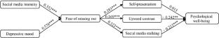 Assessing Detrimental Influences of Fear of Missing Out on Psychological Well-Being: The Moderating Role of Self-Presentation, Upward Contrast, and Social Media Stalking