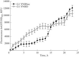 New pAraDH2 Promoter for Metabolic Engineering of the Yarrowia lipolytica Yeast