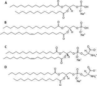 Differential interactions of essential and toxic metal ions with biologically relevant phosphatidic acid and phosphatidylserine membranes