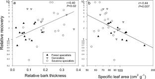 Stem wound healing is dependent upon bark and trunk growth rates in Brazilian savanna