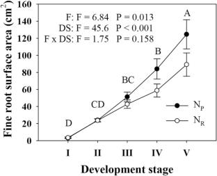 The contribution of acorn and soil N to early development of Chinese cork oak (Quercus variabilis Blume) seedlings under contrasting soil fertility conditions