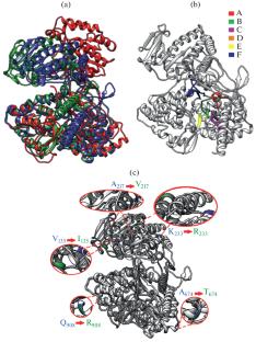 Structural Motifs and Spatial Structures of Helicase (NS3) and RNA-Dependent RNA-Polymerase (NS5) of a Flavi-Like Kindia Tick Virus (Unclassified Flaviviridae)