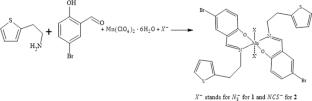 Synthesis, crystal structure, and characterization of two new end-to-end 1D pseudohalide bridged manganese(III) complexes