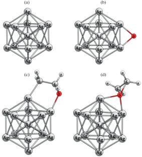 Information Entropy of Catalytic Reaction