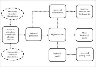 Welfare benefits associated with access to agricultural extension services in Nigeria