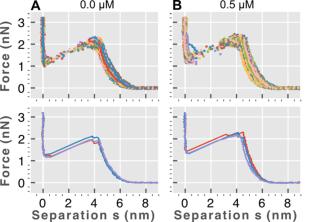 Probing the interactions of the HIV-1 matrix protein-derived polybasic region with lipid bilayers: insights from AFM imaging and force spectroscopy