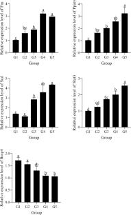 Effects of Brown Fishmeal on Growth Performance, Digestibility, and Lipid Metabolism of the Chinese Soft-Shelled Turtle (Pelodiscus sinensis)