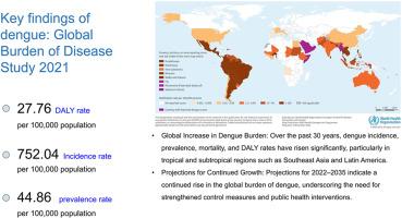 Global, regional, and national burden of dengue, 1990–2021: Findings from the global burden of disease study 2021