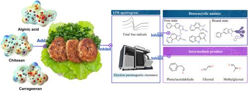 The inhibition effect and mechanism of typical hydrocolloids on the formation of heterocyclic amines: A study based on quantum chemical computation analysis