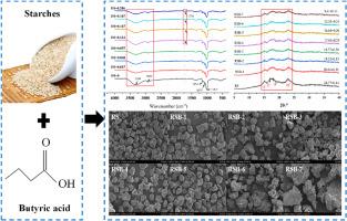 Impact of butyric acid modification on the structural and functional properties of rice starch